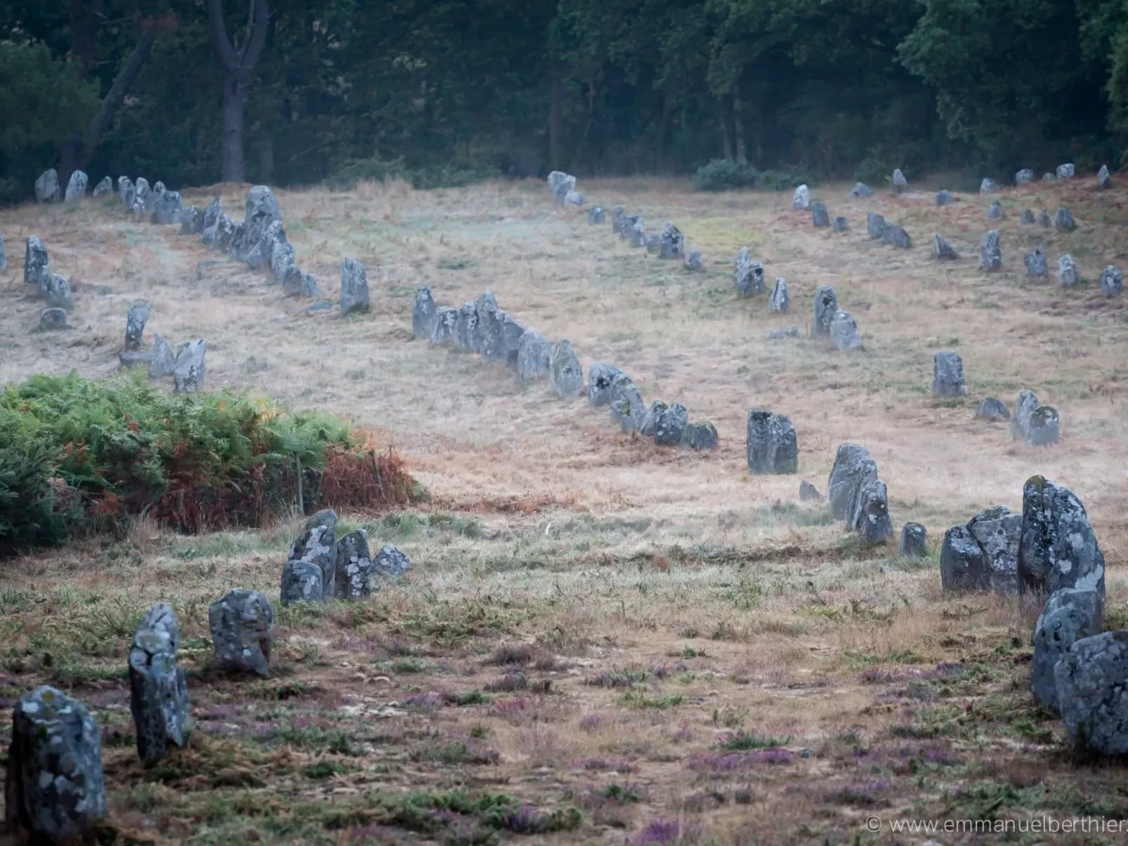 Maison de Pecheur-Image-tags.info