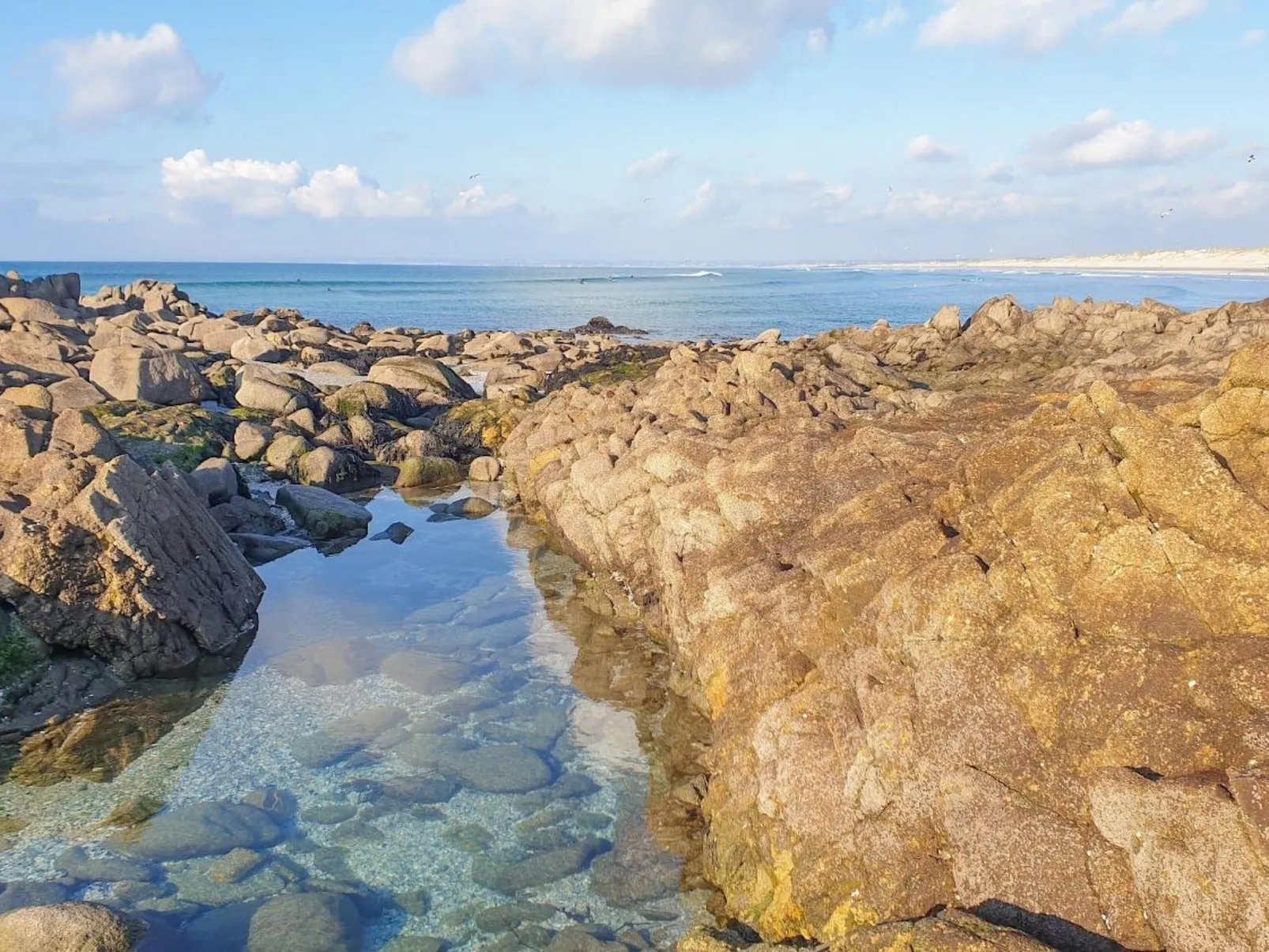Ferienhaus Ty Nina Rosa, haustiere erlaubt-Dehors