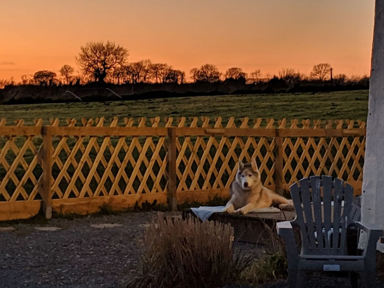 Helles, offenes Ferienhaus, Gemeinschaftspool Hunde-Dehors