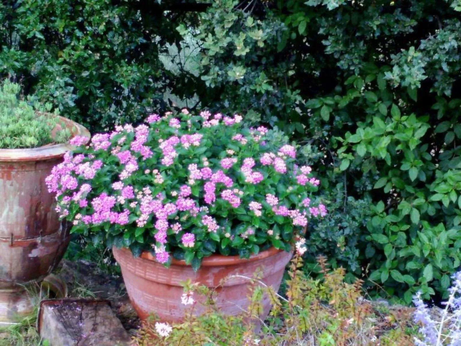 Freistehendes Haus mit großer Terrasse und Panoramablick auf die Landschaft-Image-tags.info