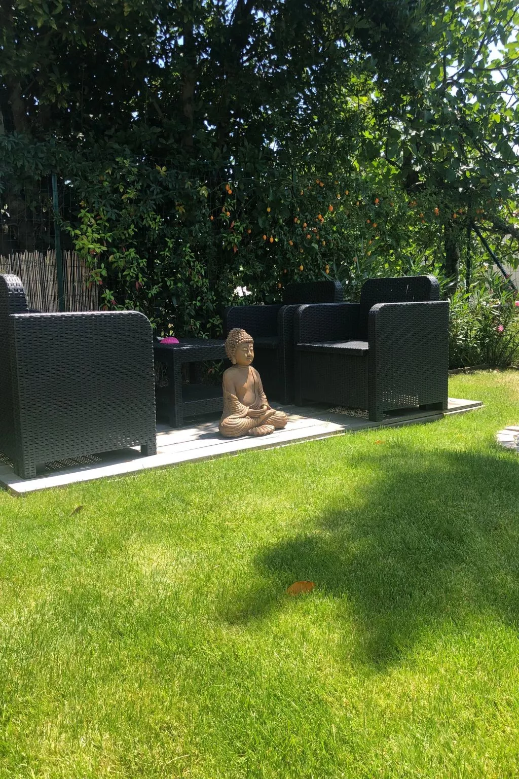 "Seepferdchen des Beckens"-Image-tags.info