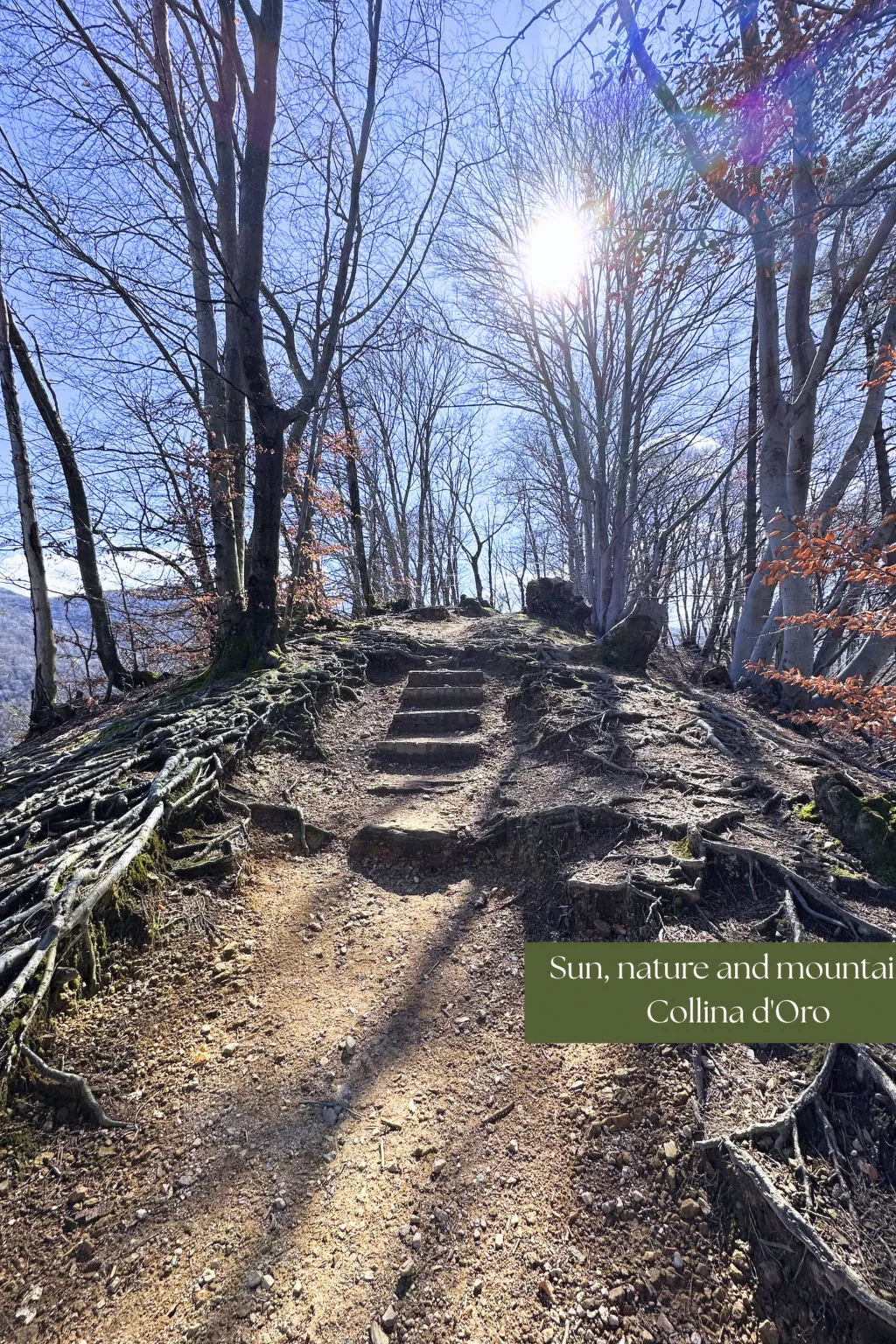 Appartamento vacanze "Luxus-Wohnung"-Outside