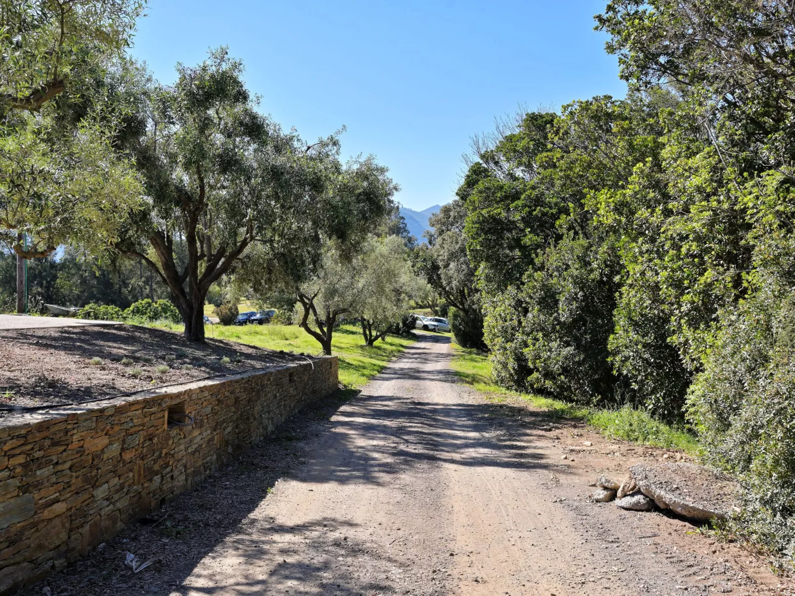 Weingut Punta della guardia zwischen Meer und Gebirge-Outside