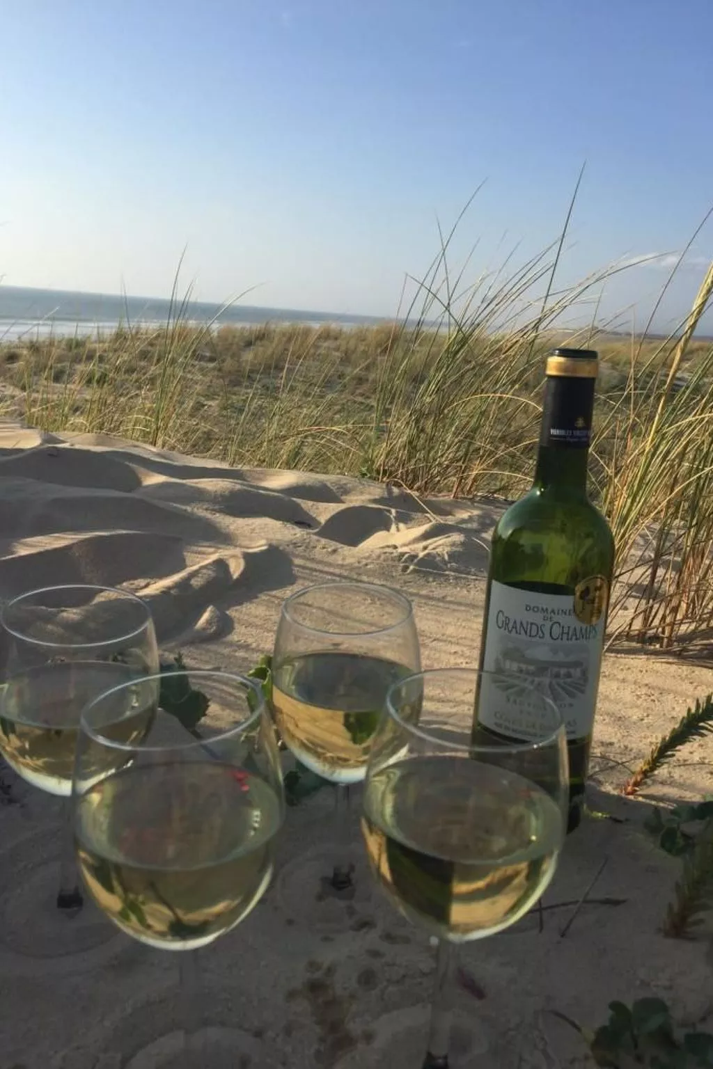 La Maison Pinède-Dehors