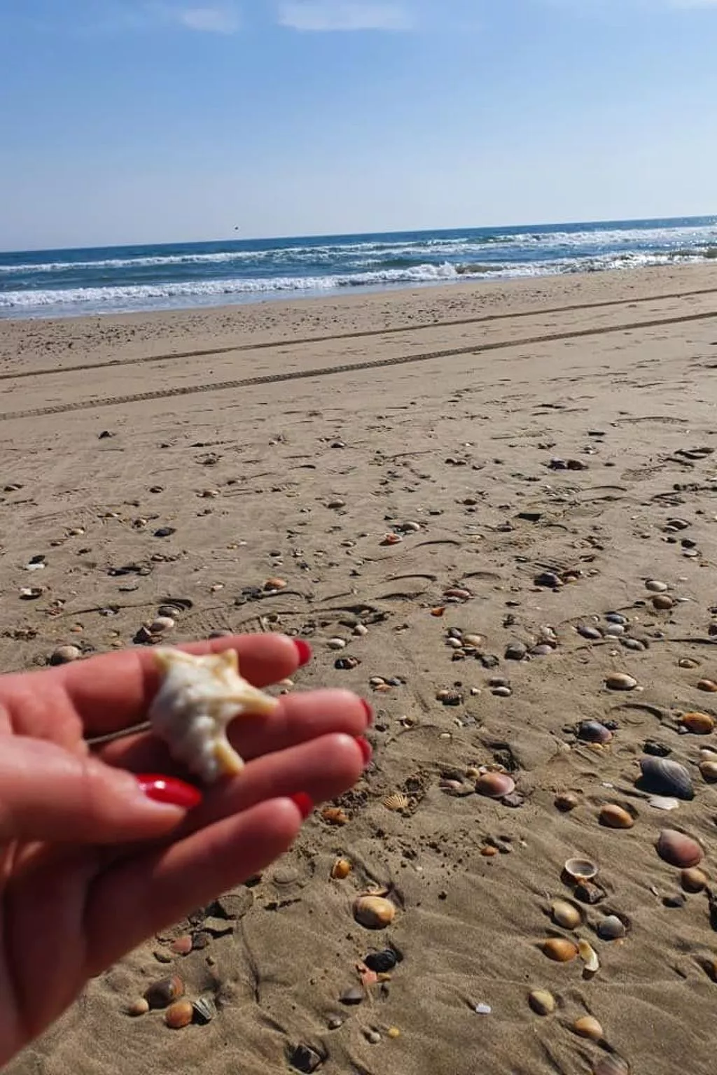Mobilheim in idealer Lage in der Nähe aller Annehmlichkeiten-Draußen