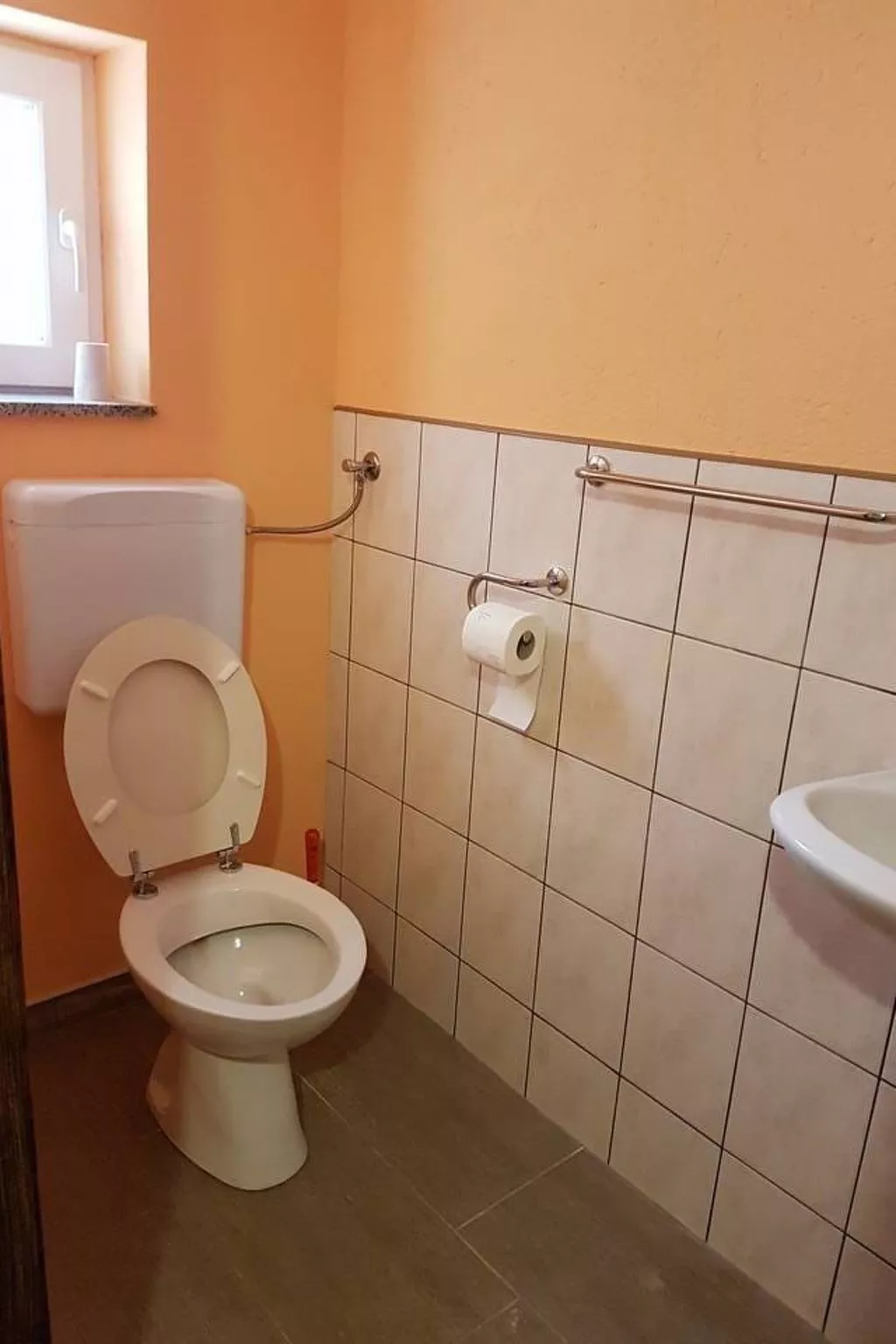 Lantana 3-Image-tags.info