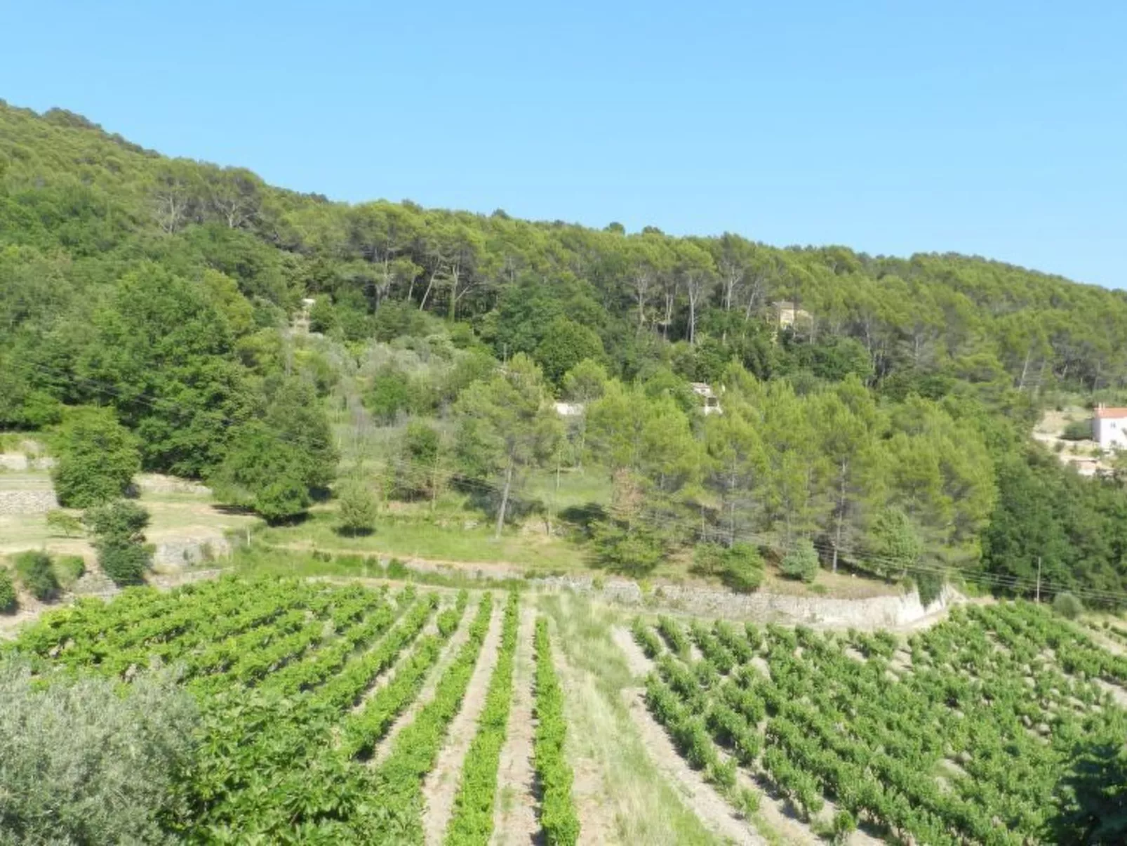 In Draguignan, Côte d'Azur-Outside