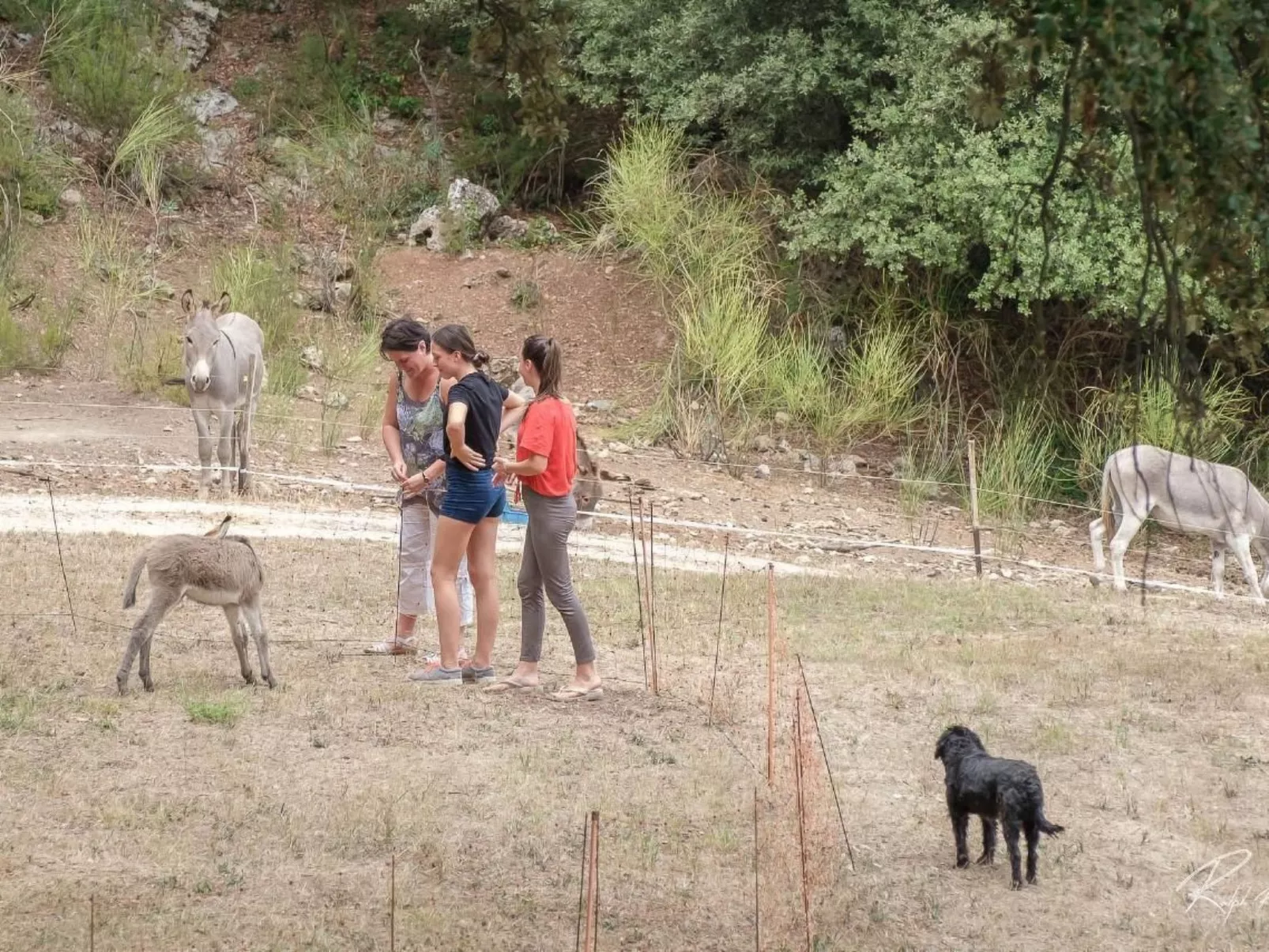 Wohnung in charmantem Haus auf Domäne-Image-tags.info