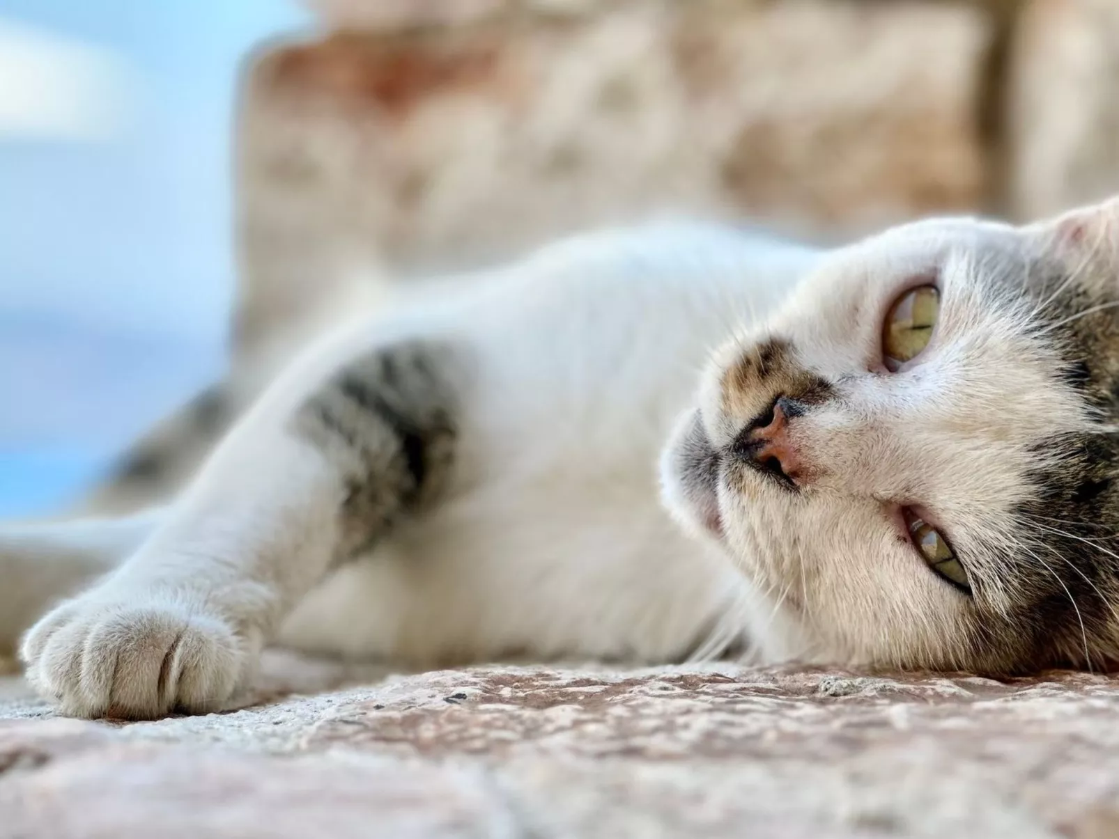 Prächtige Villa in spektakulärer Lage-Draußen