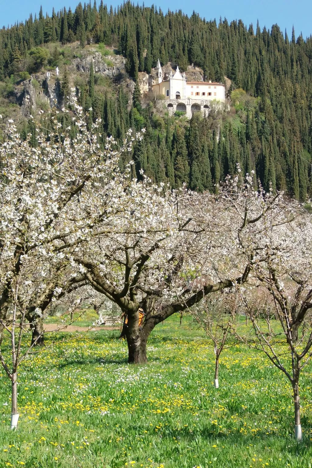 Anwesen mit Garten, Grill und Terrasse-Draußen