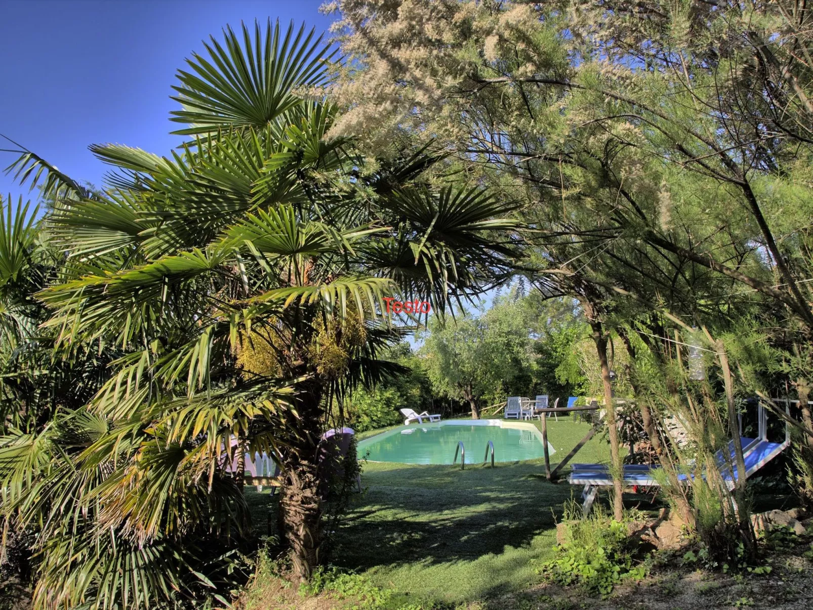 Haus der Musik 270m Veranda, Garten und Pool-Image-tags.info