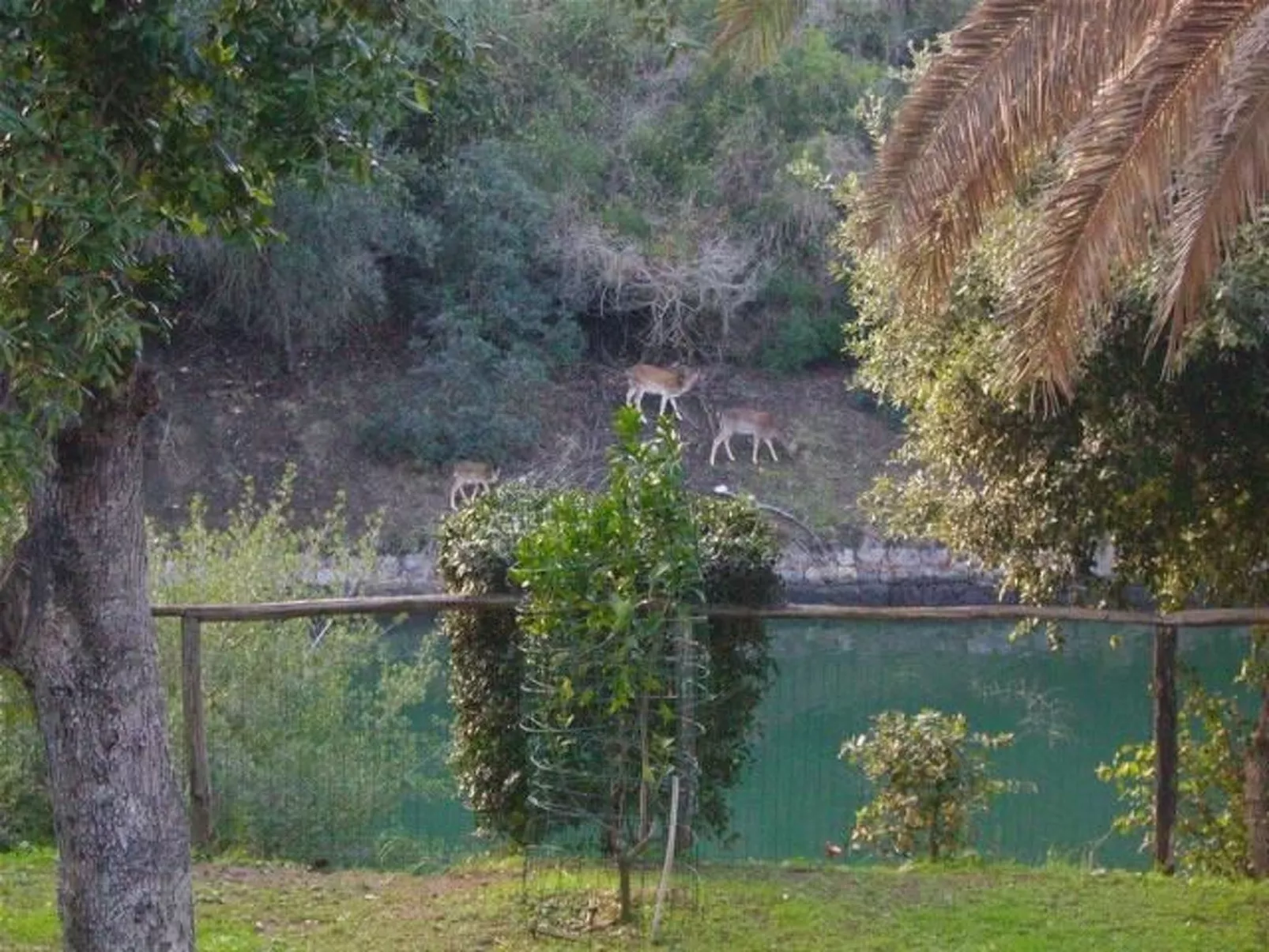 Villa Paradisino Drei-Zimmer-Wohnung orbetello Strand-Outside