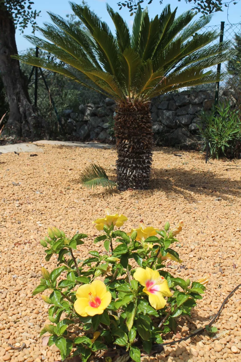 Ferienvilla mit Blick auf das Wasser-Dehors