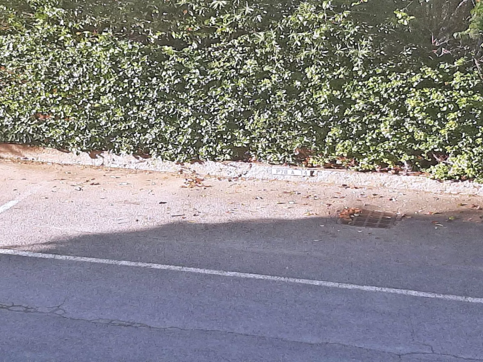 Wohnung T2 - 4 pers - Klimaanlage - WiFi-Image-tags.info