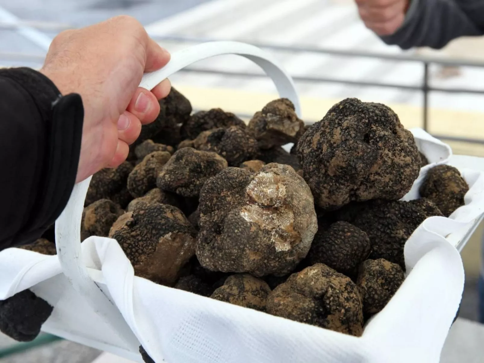 Pin parasol-Image-tags.info