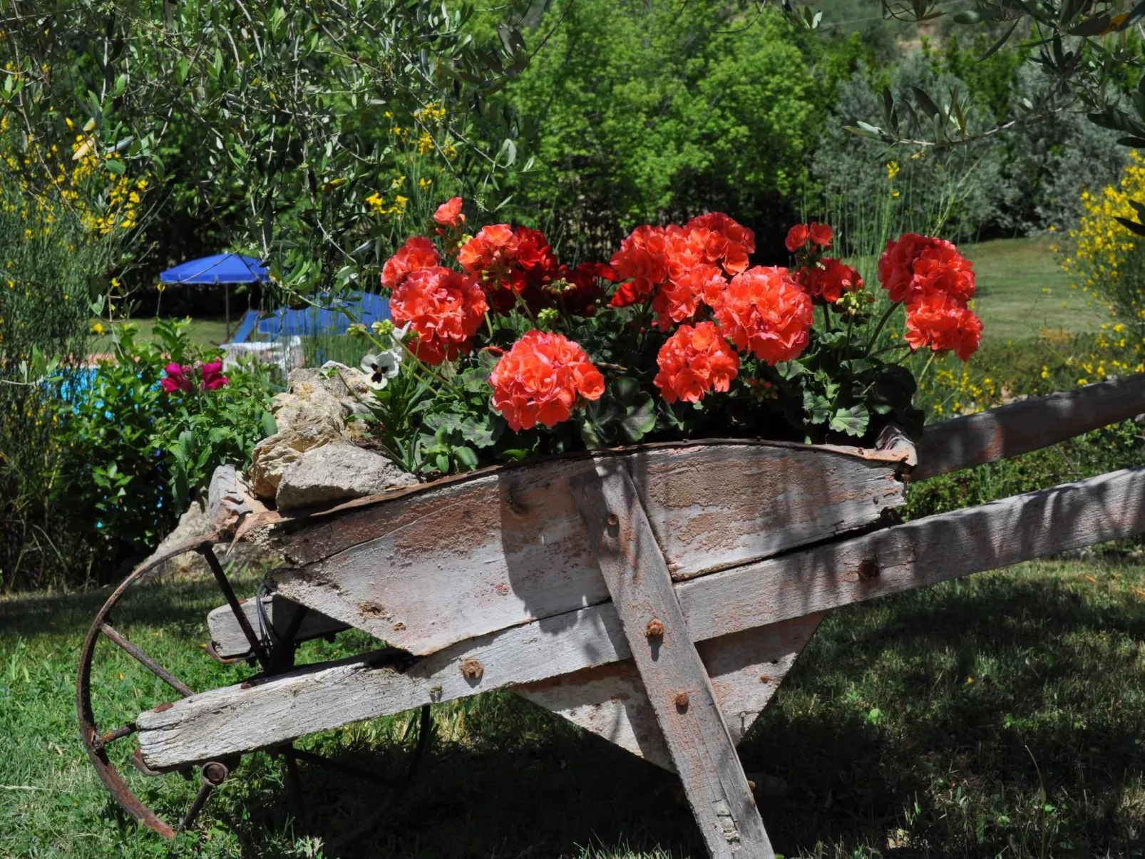 Flach "Madonnino quercia-Outside