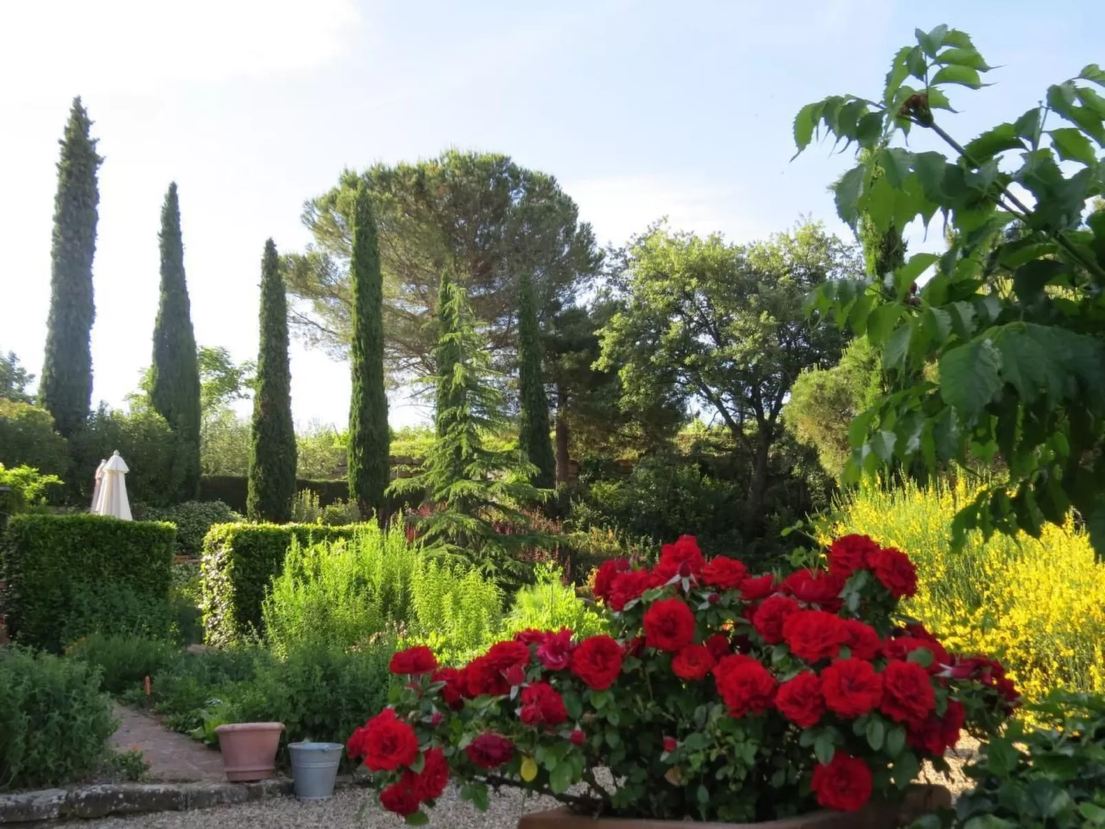 Podere Campolungo - Lo Studio-Outside