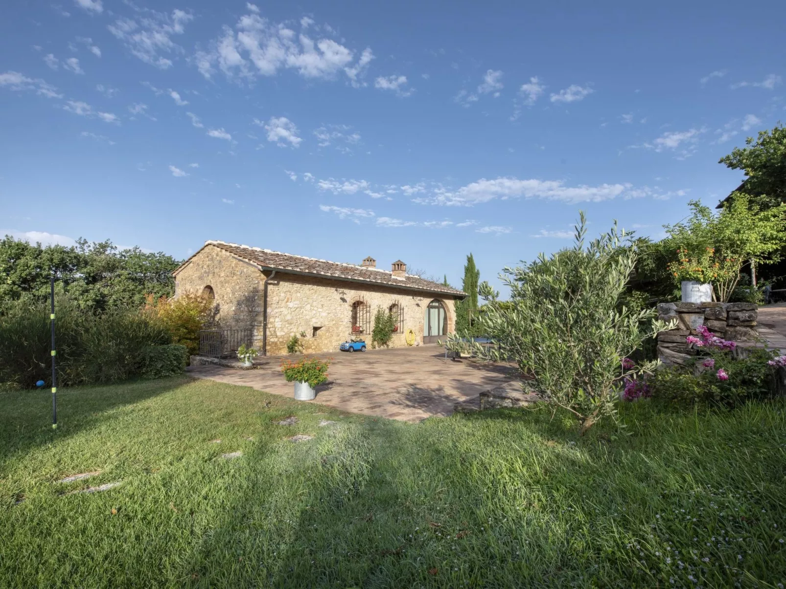 Maskendickkopf-Gimpel-Draußen