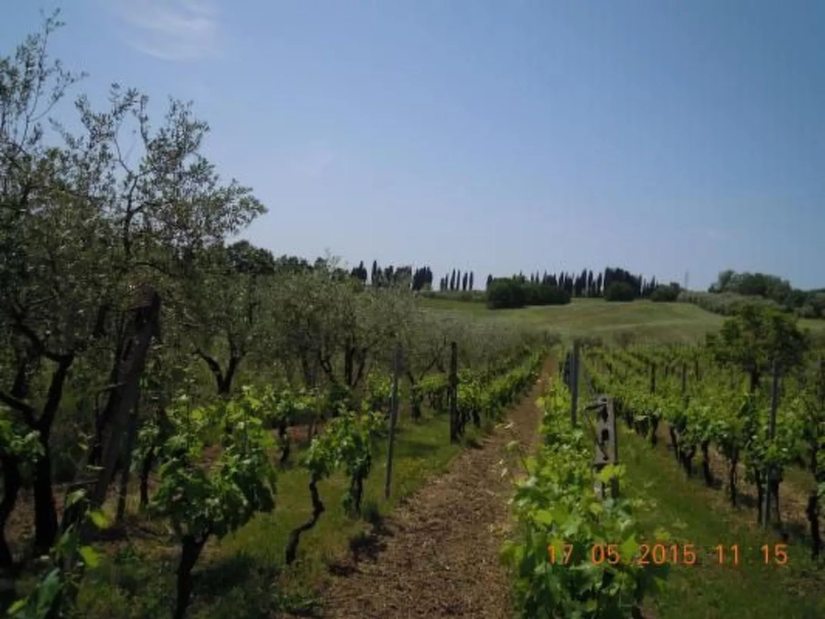 Wohnung 'La Colombaia' mit Terrasse-Dehors