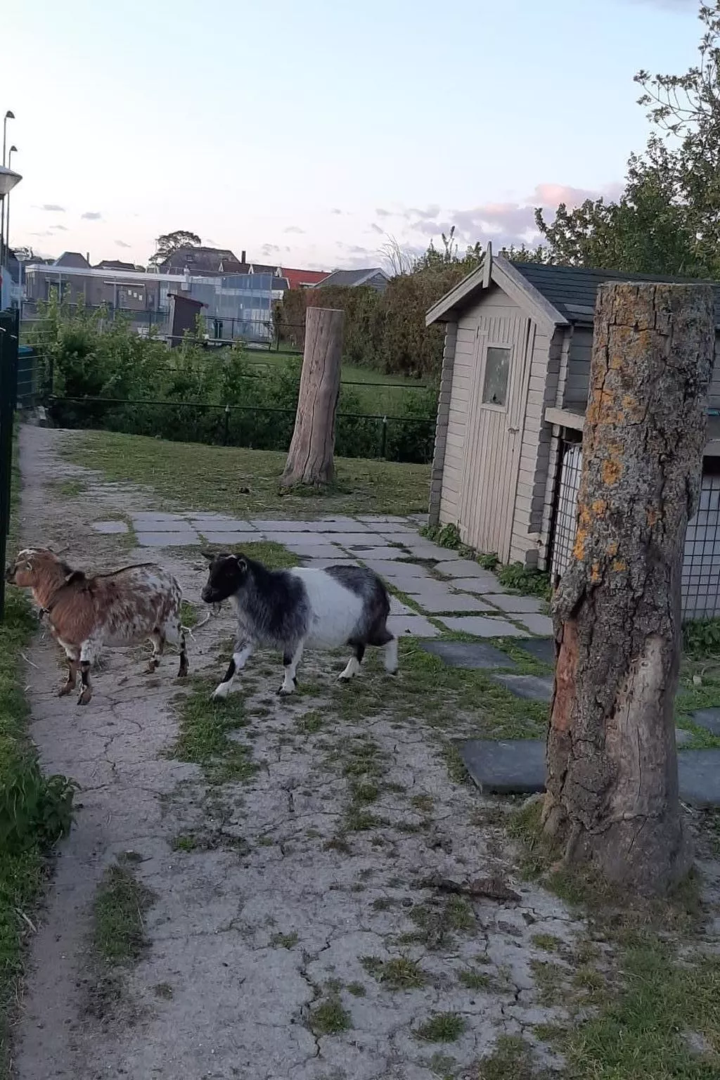 Gemütliches Ferienhaus-Draußen