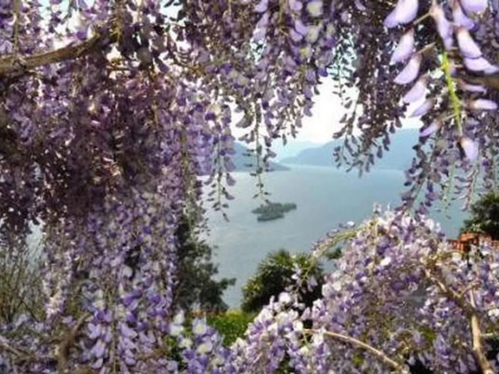 Villa Cresta Bianca-Draußen