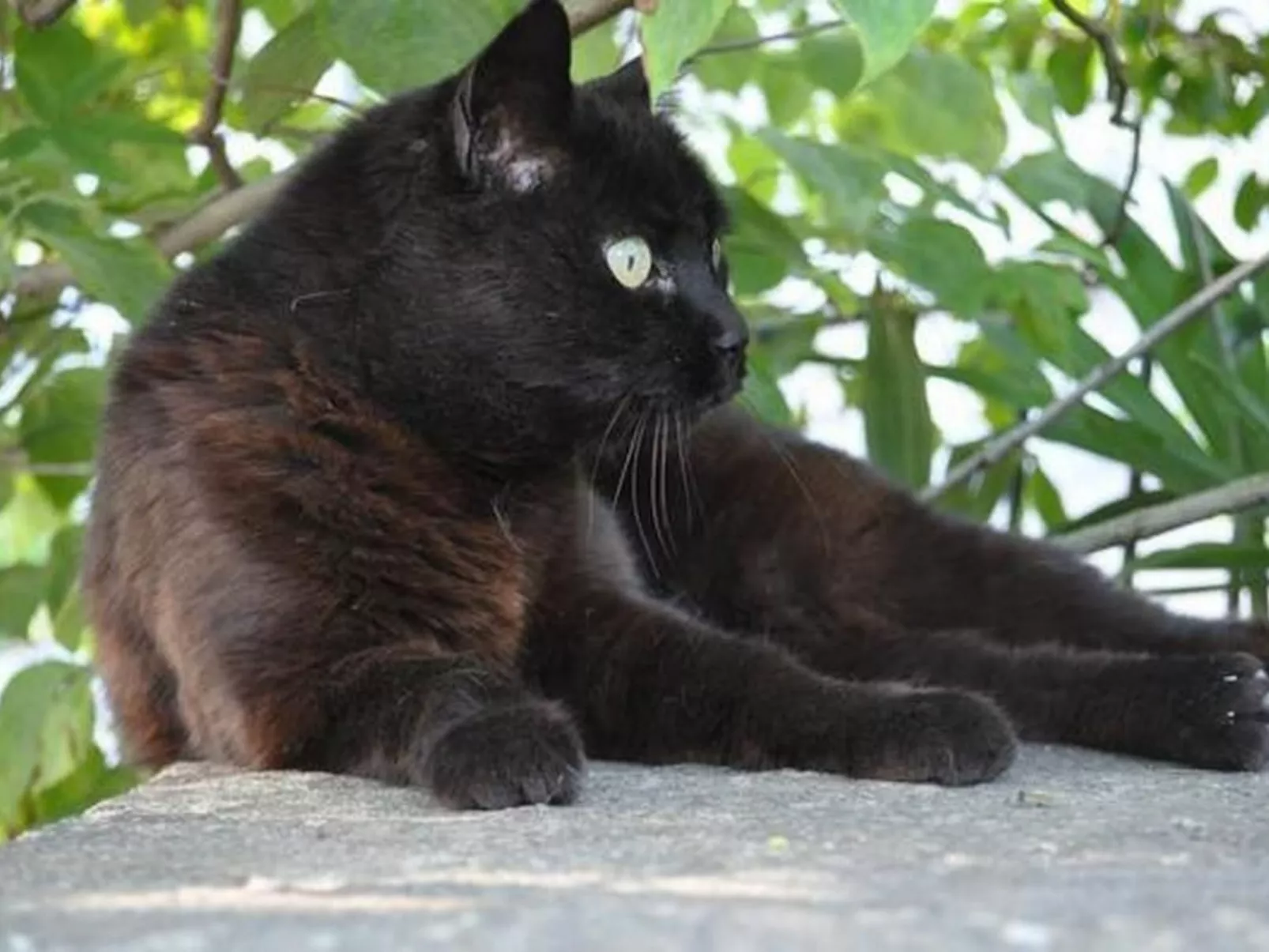 Studio Cresta Bianca-Draußen