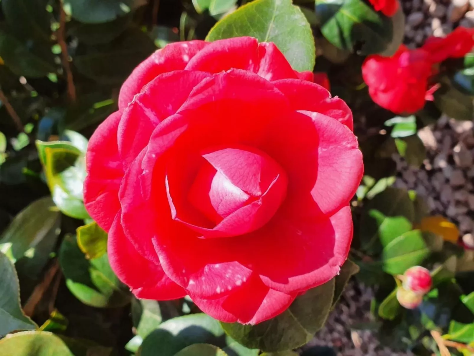 Casa delle Vigne-Draußen