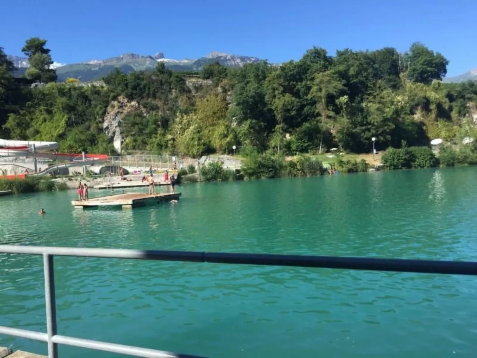 Blue Merle-Image-tags.info