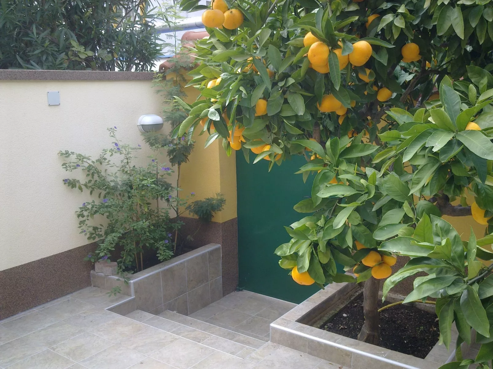 „Kleine Villa Tony“-Draußen