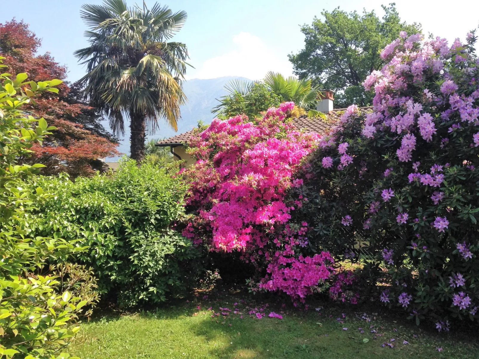 Casa Cristina-Dehors