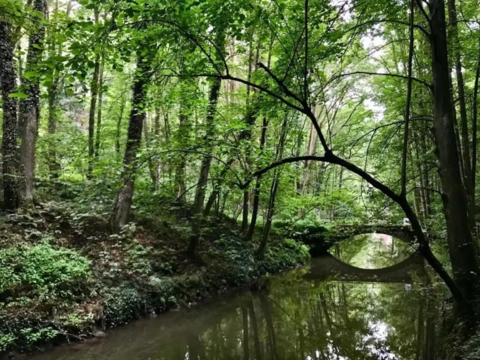 Fewo Natur und Kunst-Dehors