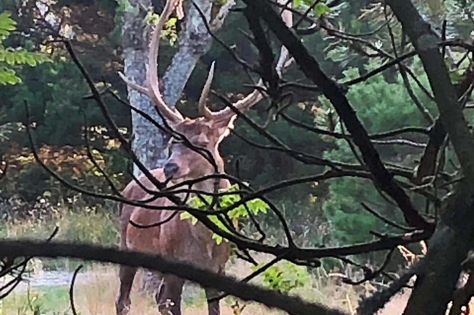 Retraite de luxe avec piscine -- By Traum Ferienwohnungen