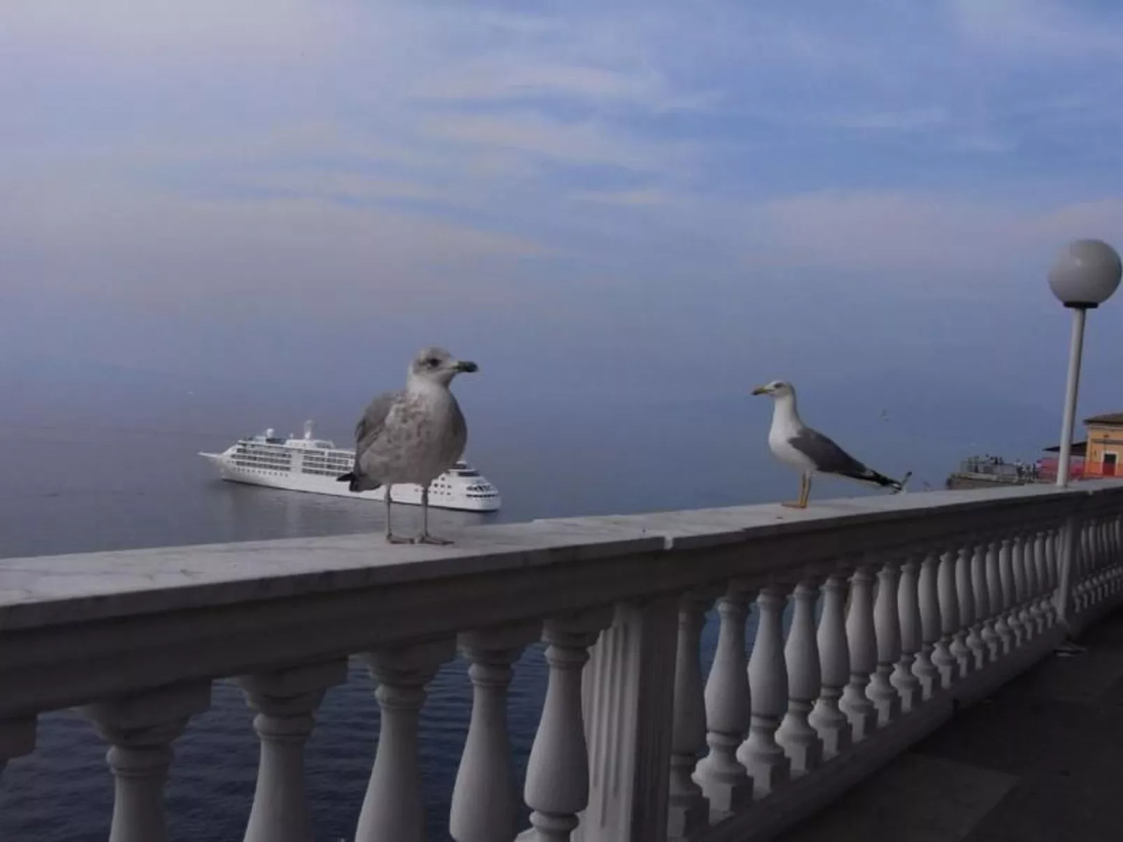 Rosa' Wohnung mit privatem Garten-Image-tags.info