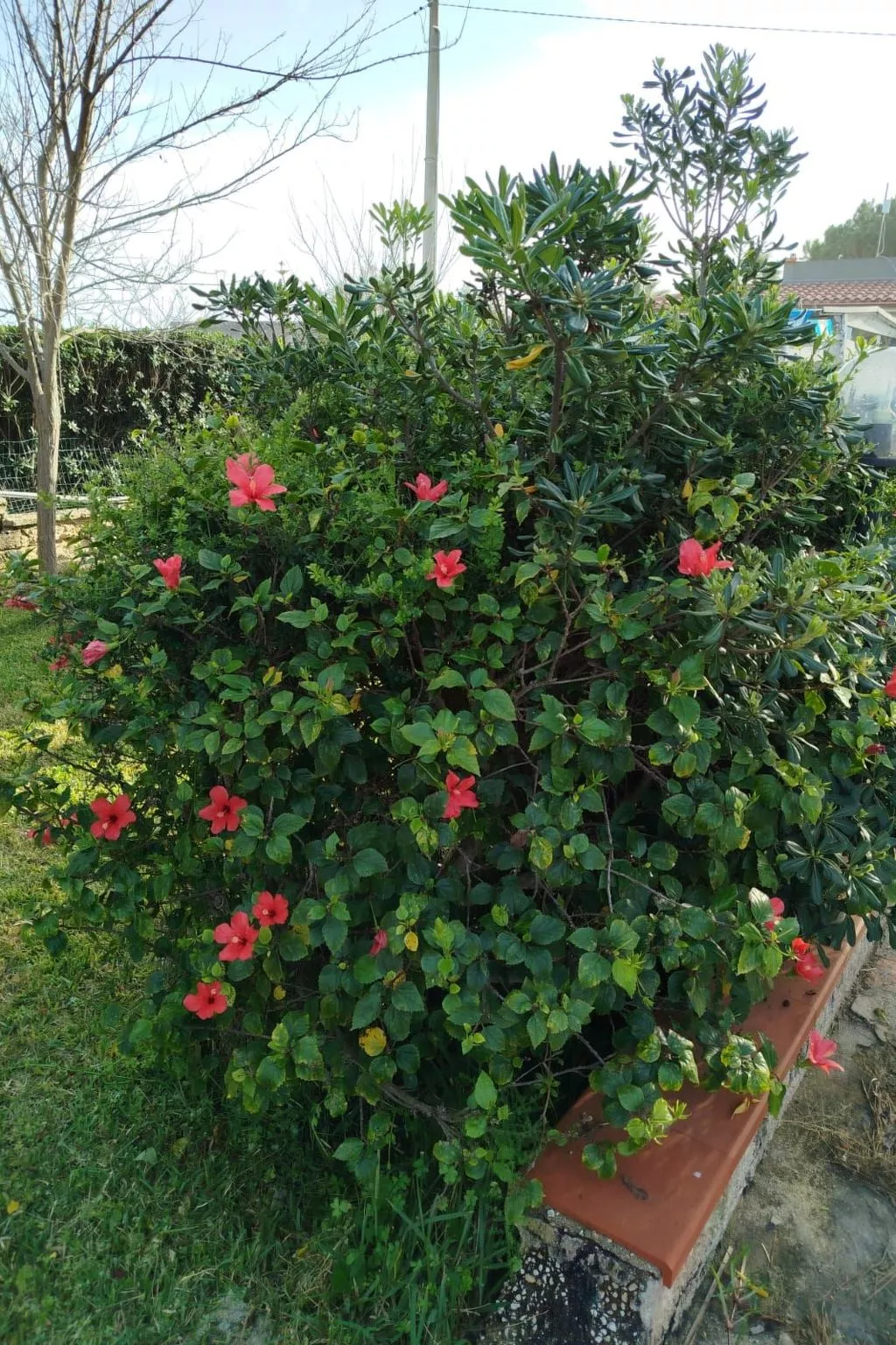 'Villetta mare' mit Blick aufs Wasser-Outside