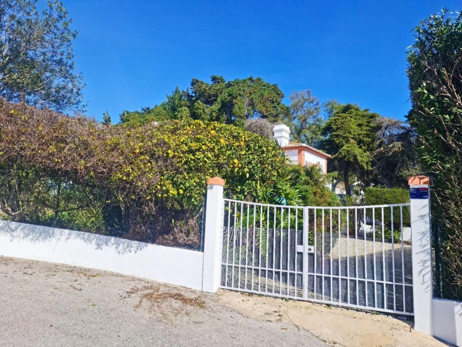 Villa Doce Vida-Image-tags.info