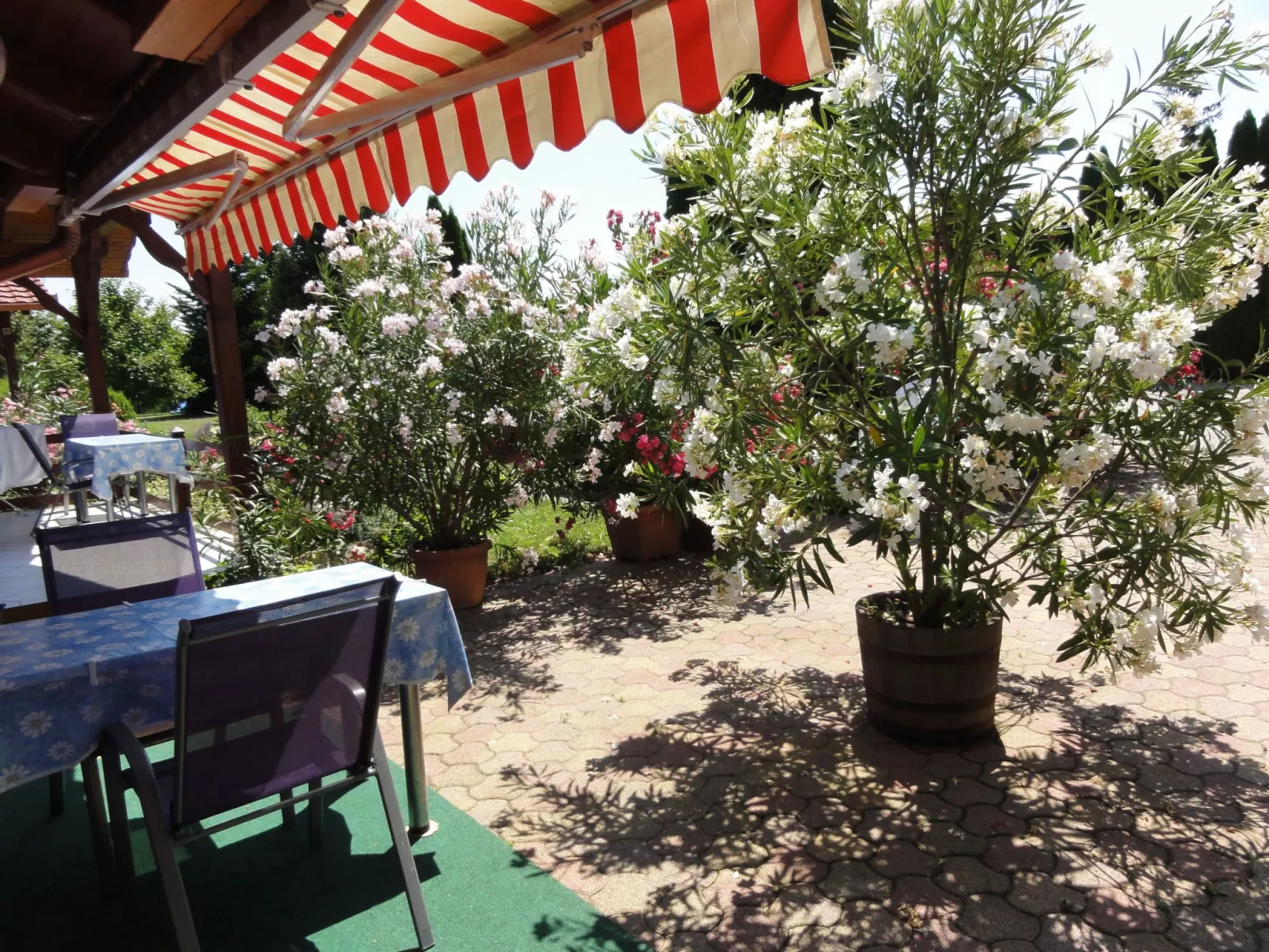 Gemütliche Ferienwohnung für 3 Personen-Dehors