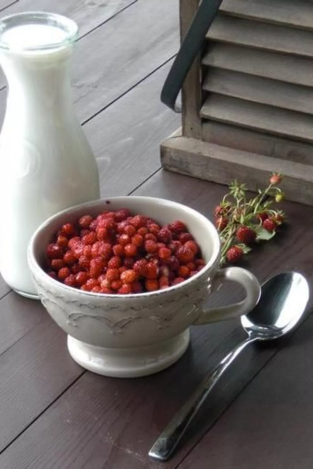 Charmante Waldvilla Dzukijos Uoga am See-Image-tags.info