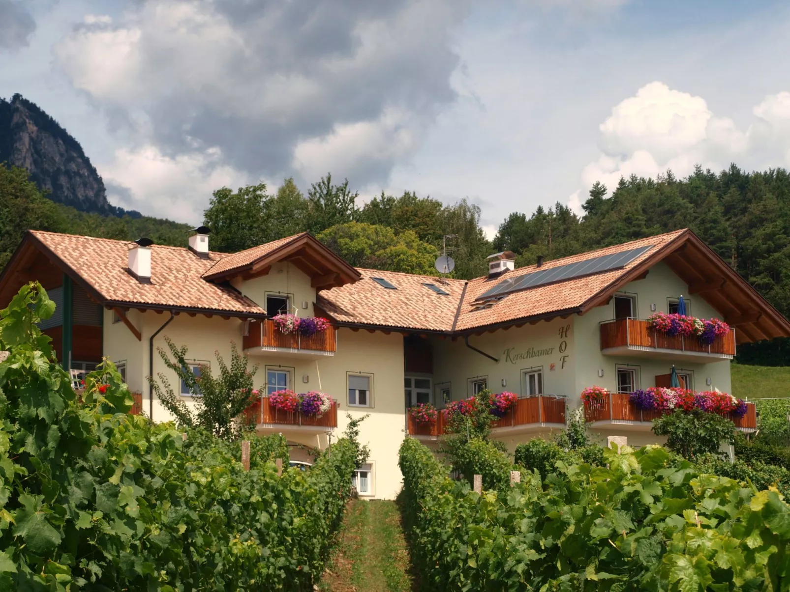 Apartment Merlot in Kurtatsch mit Panoramablick-Draußen