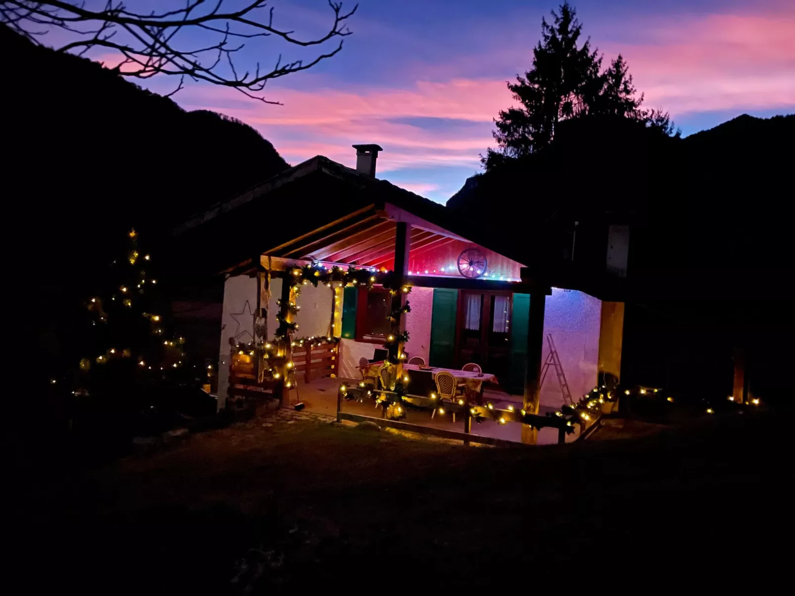 Gesegnet wie Frösche auf einem Seerosenblatt-Draußen