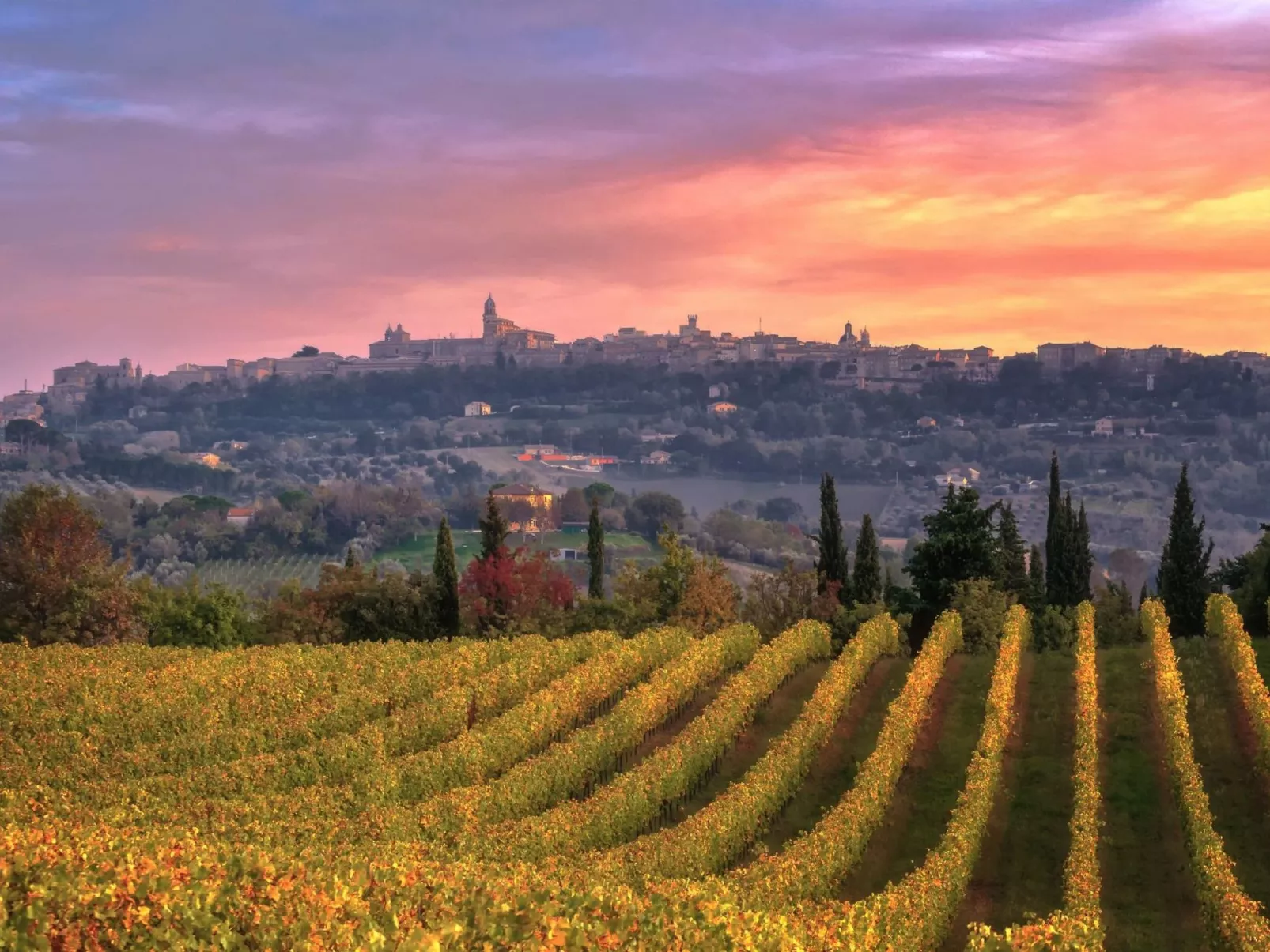 'Casa il Girasole'-Image-tags.info