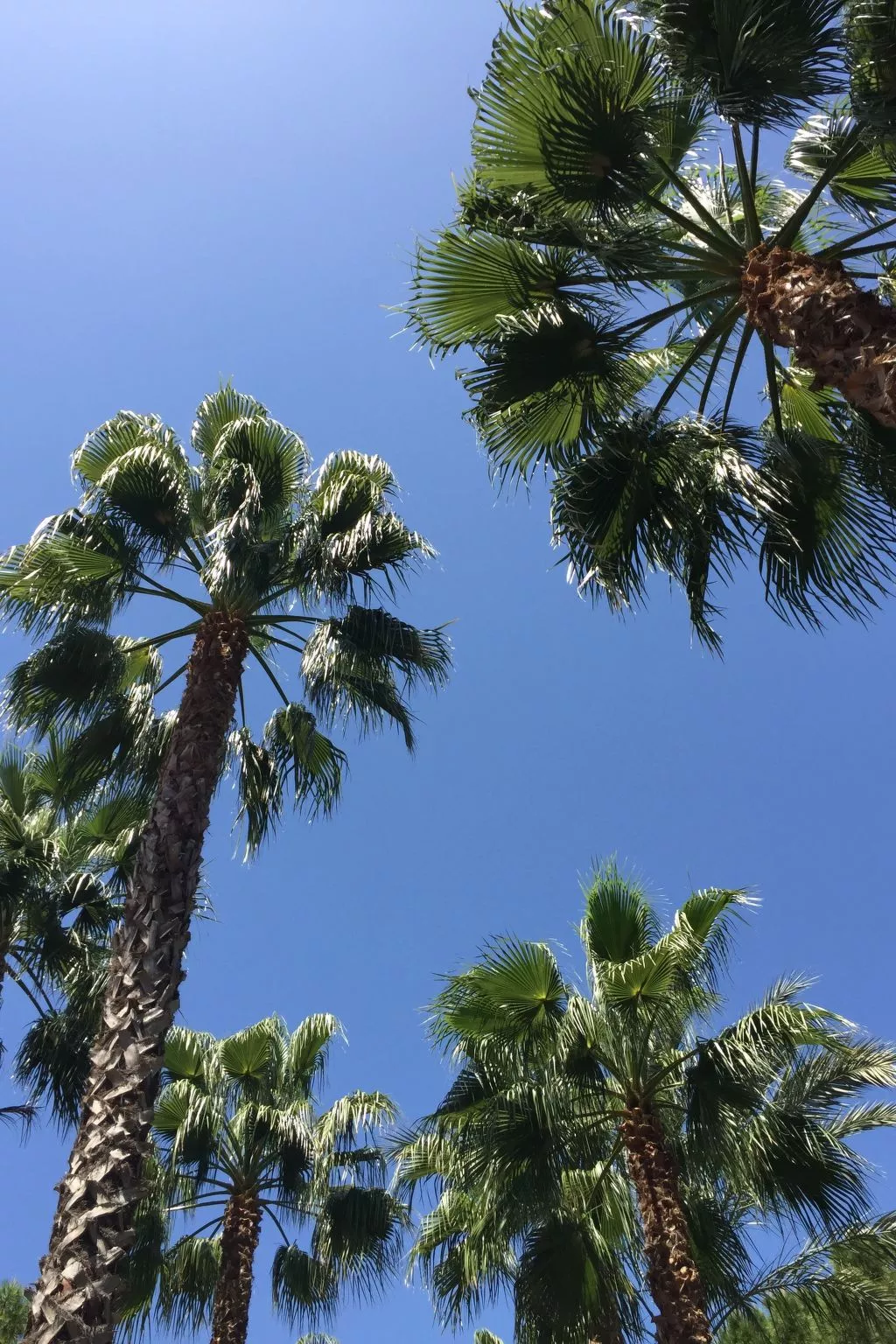 Ferienvilla El Oasis-Image-tags.info