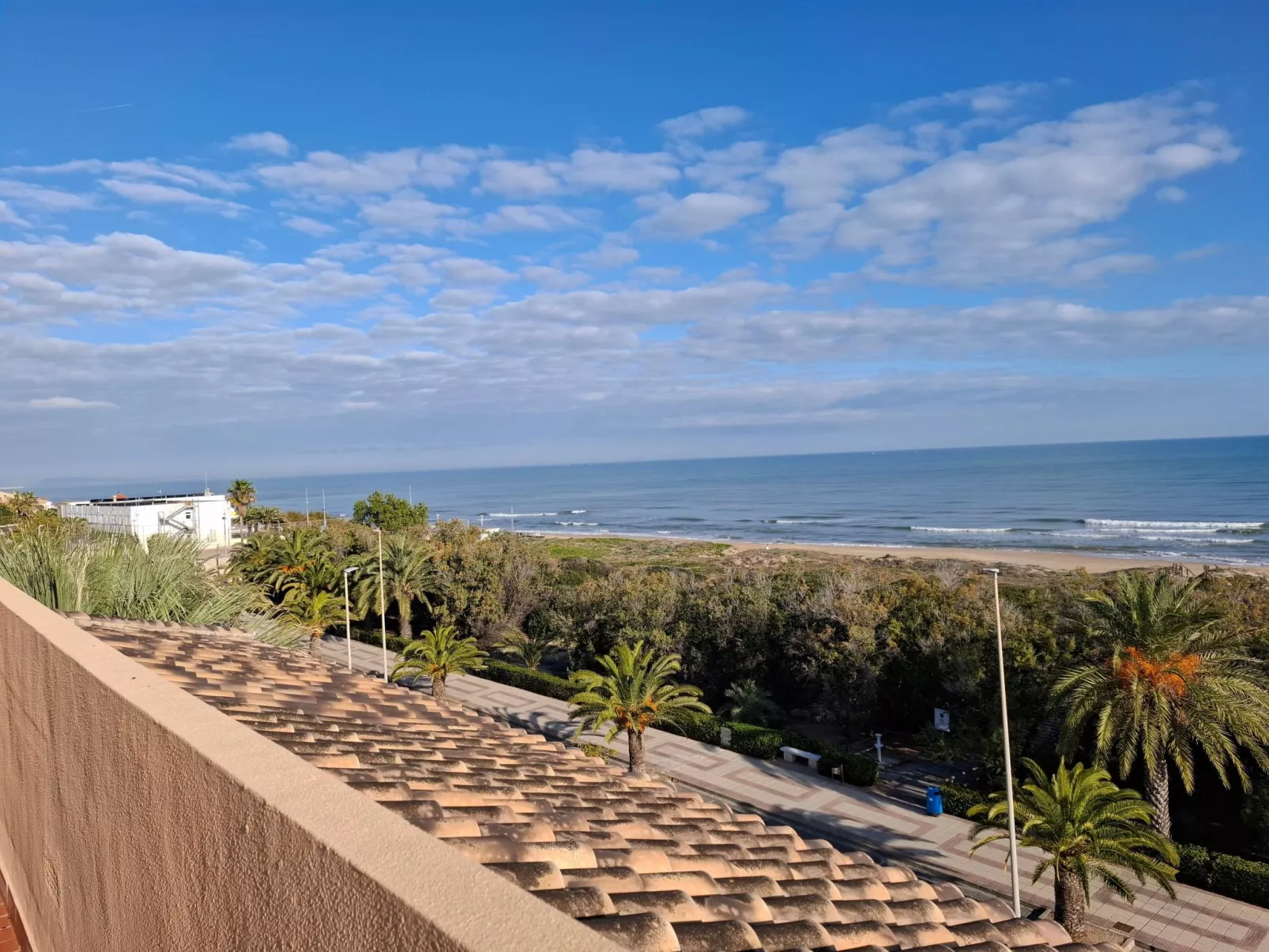 Wohnung Stella, 1. Reihe Meerblick und Palmen-Image-tags.info