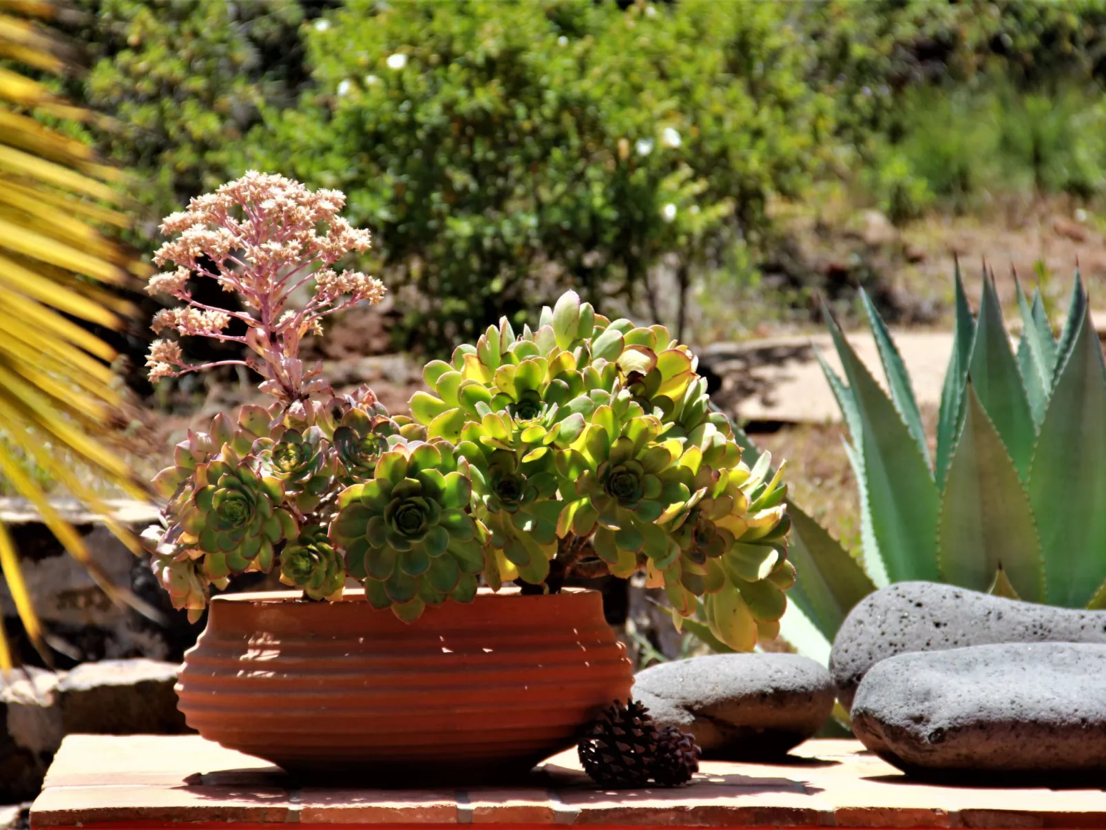 Villa Miramar-Image-tags.info