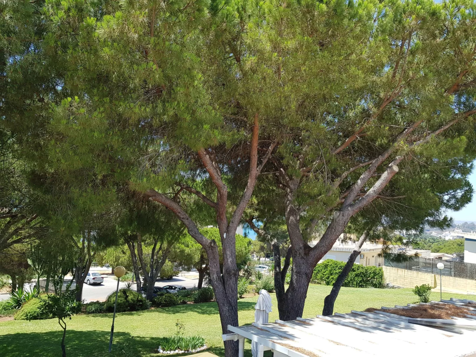 Der Ort des Lichts-Outside