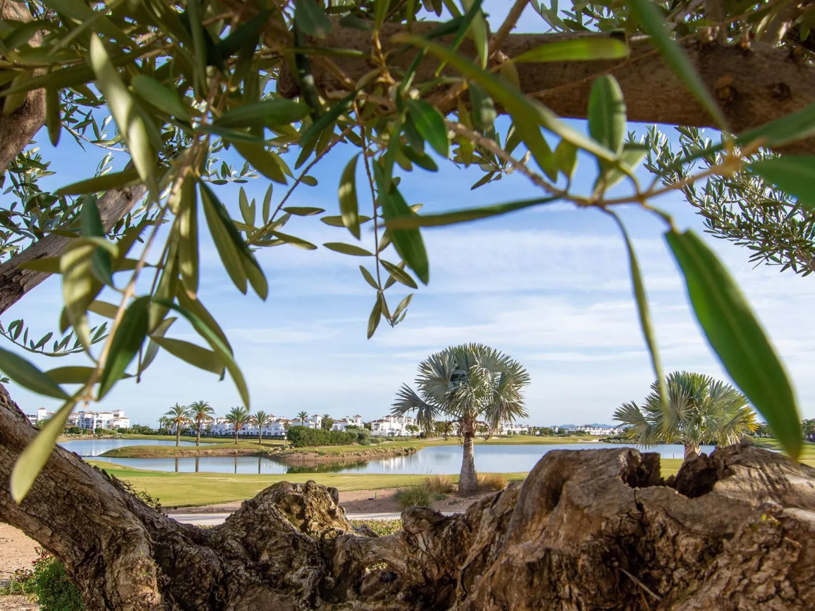 "Casa La Torre" mit Wallbox-Dehors