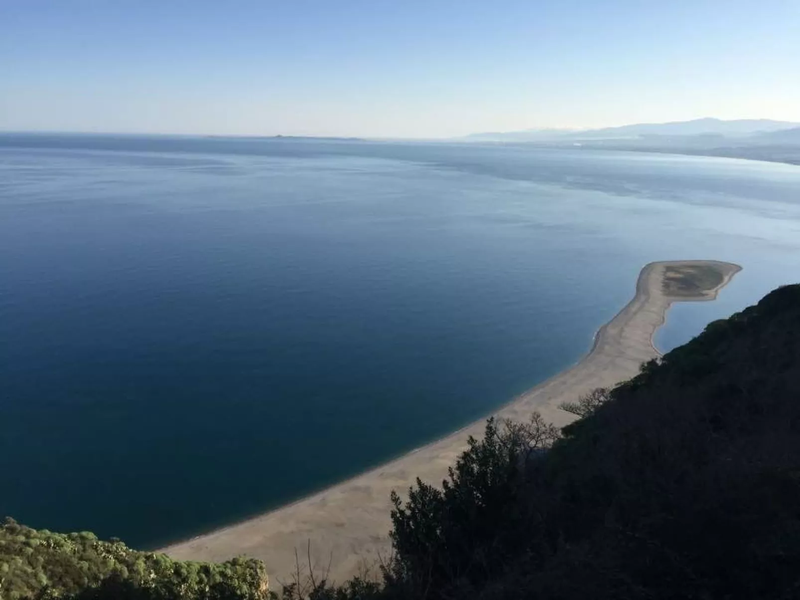 Seestern-Image-tags.info