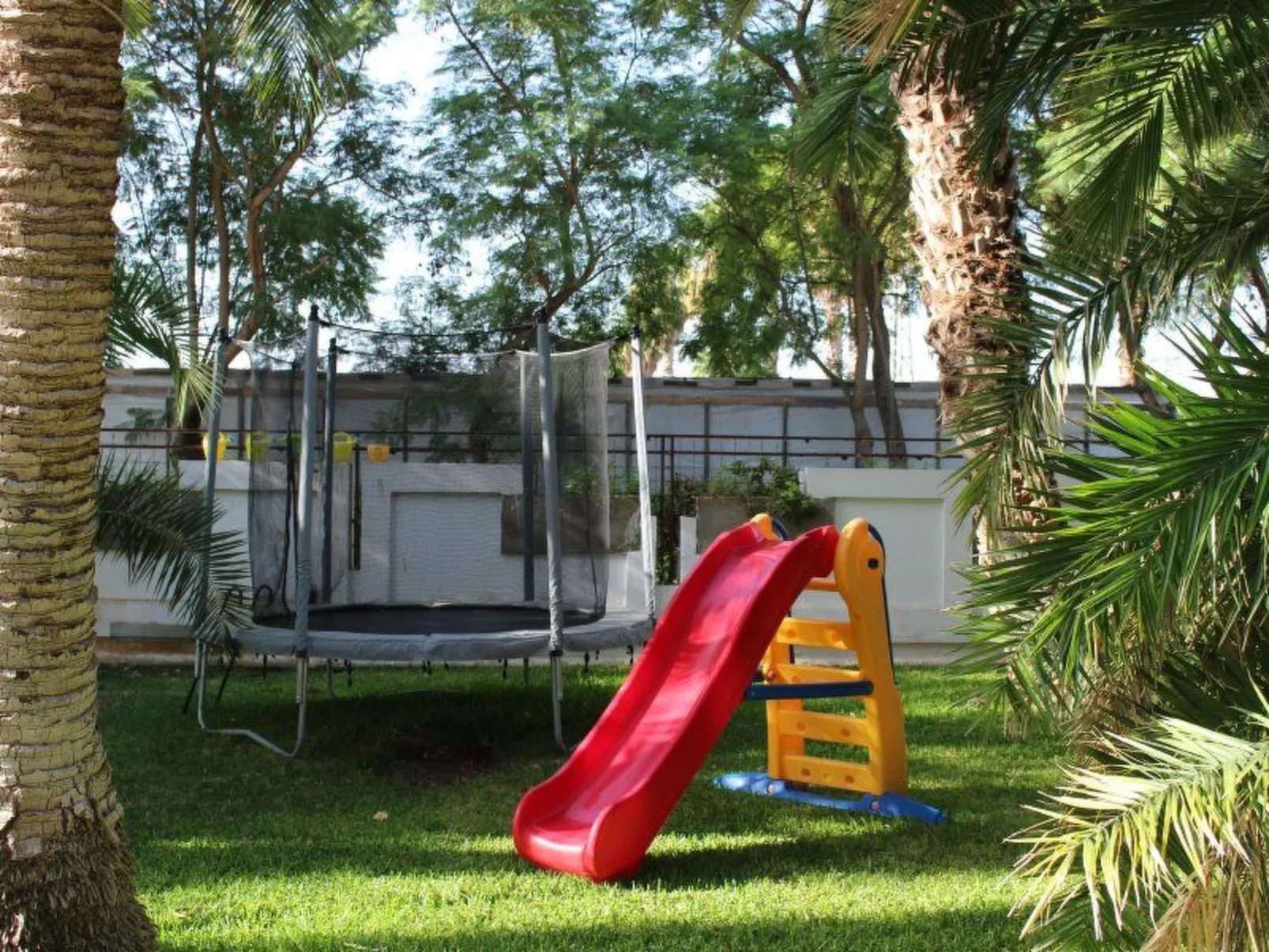 Cuore di Palme Bilo-Outside