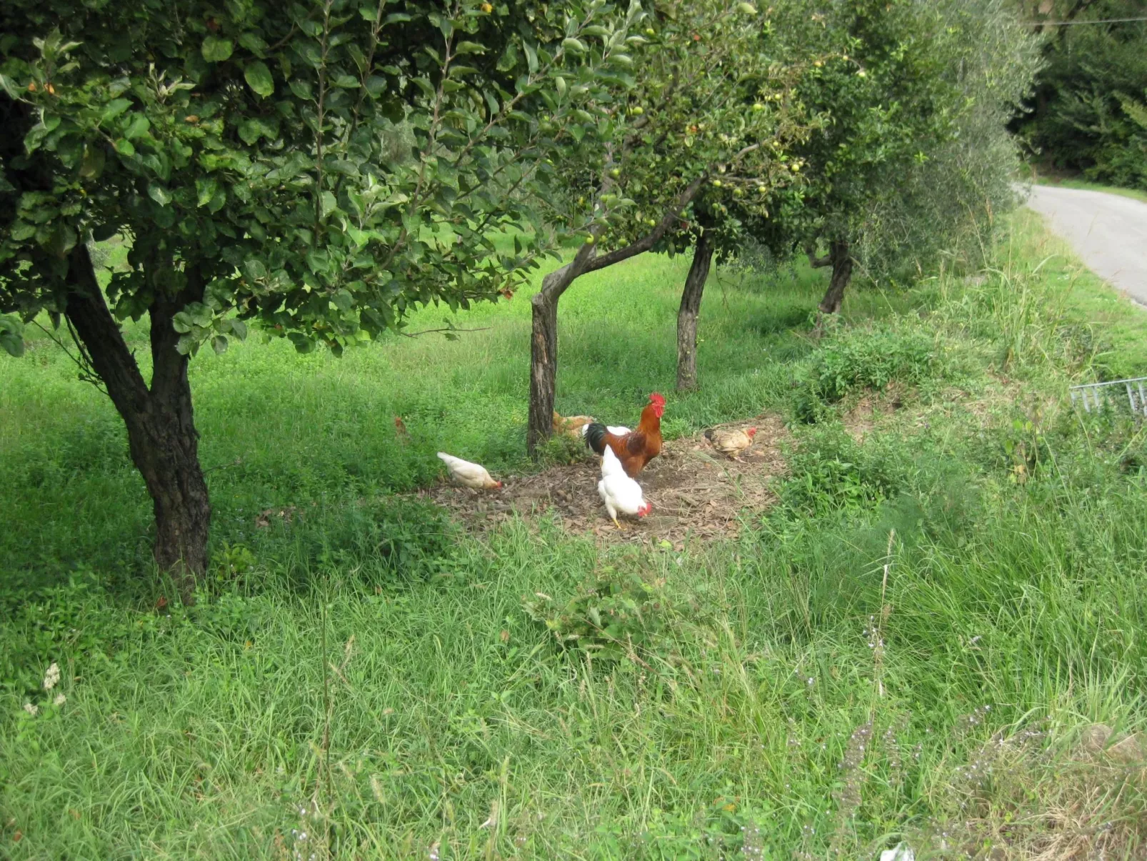 'La torre' mit Pool-Outside