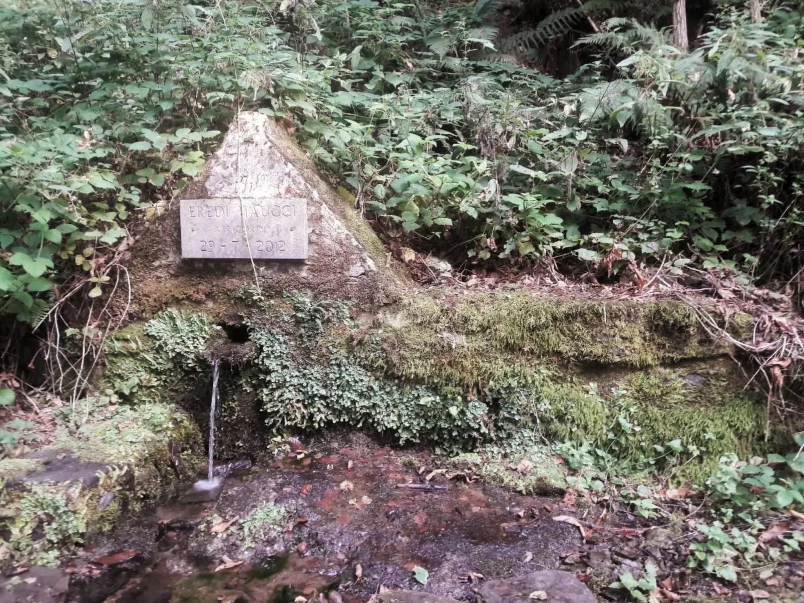 CasaMasa' Wohnung mit Bergblick-Outside