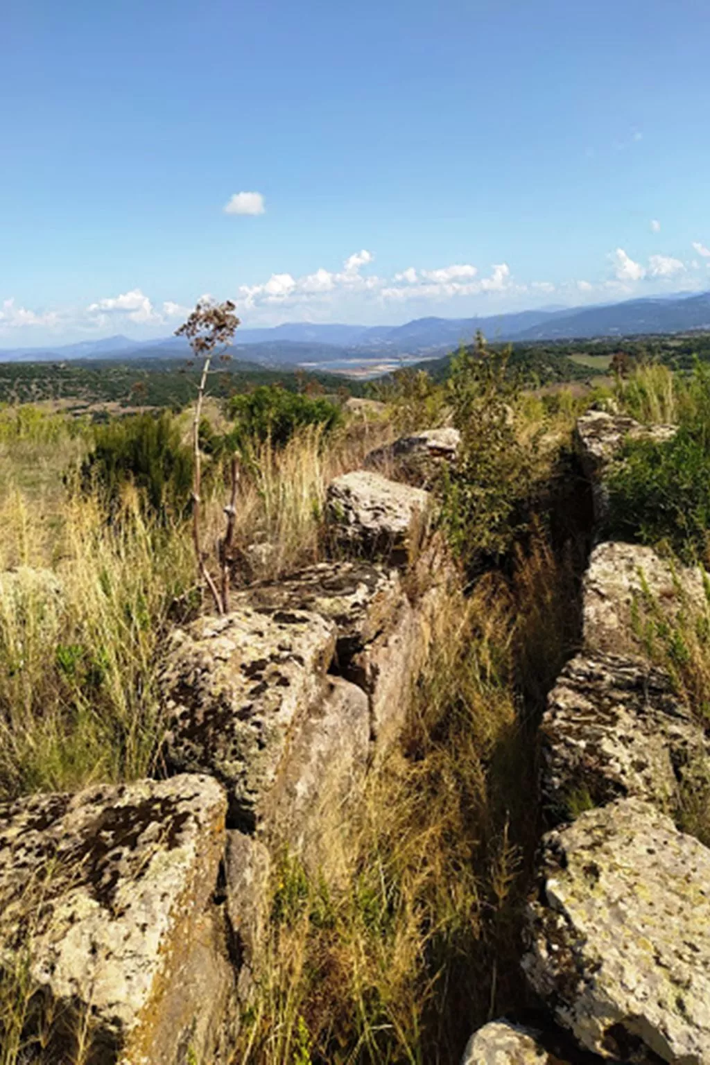 "App. max 6 Pax"-Image-tags.info